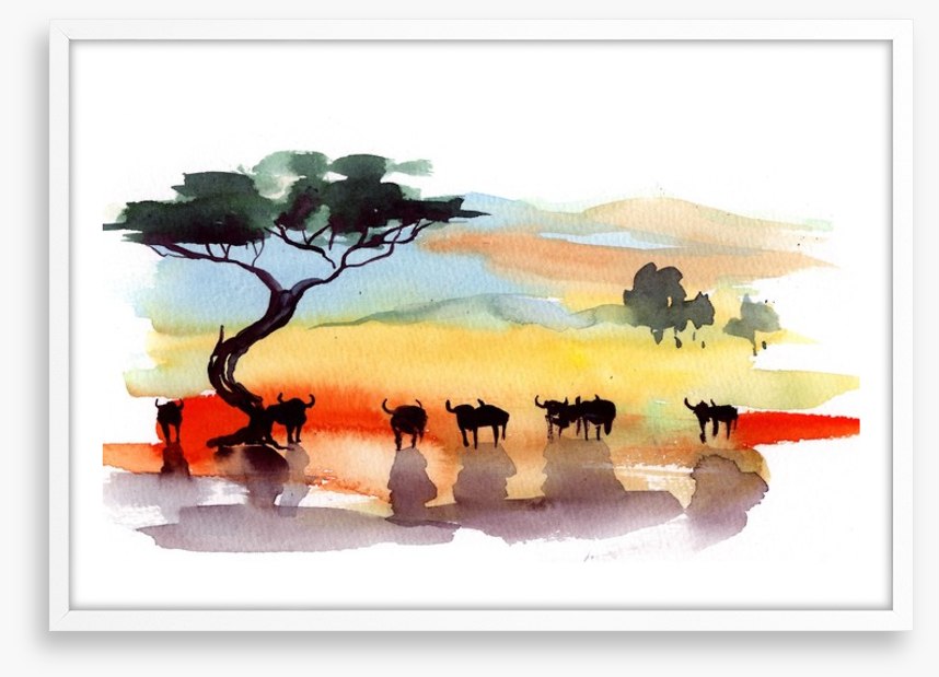 Cape buffalo sunset