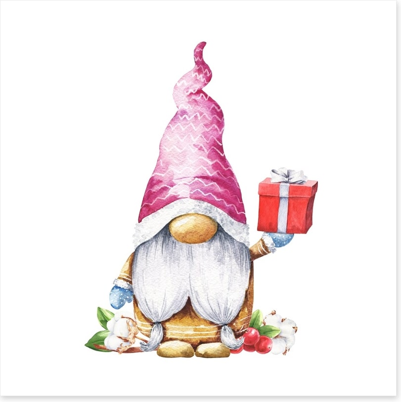 Gnome for christmas III
