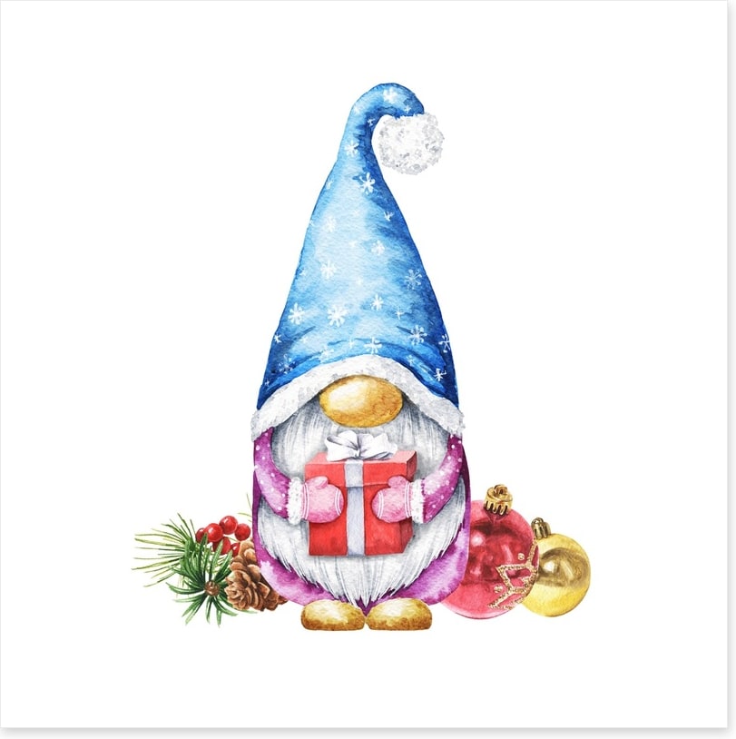 Gnome for christmas I
