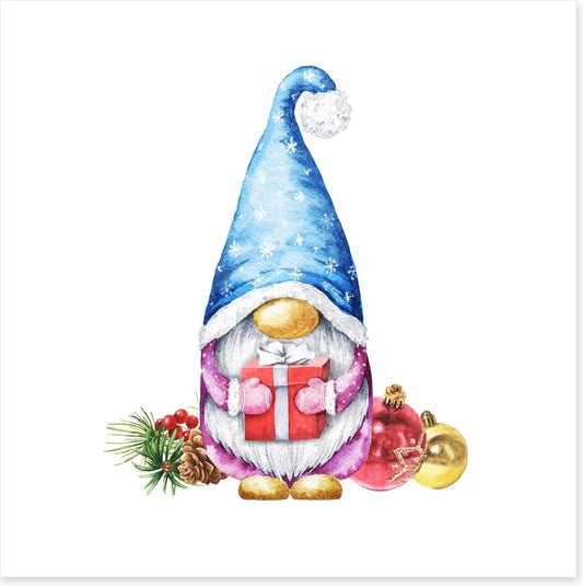 Gnome for christmas I