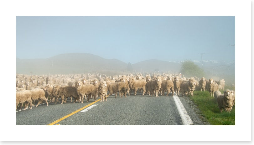 Monday morning gridlock