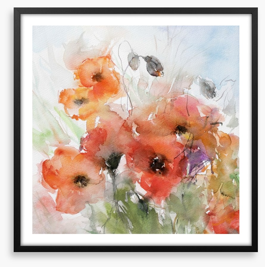 Watercolour poppies