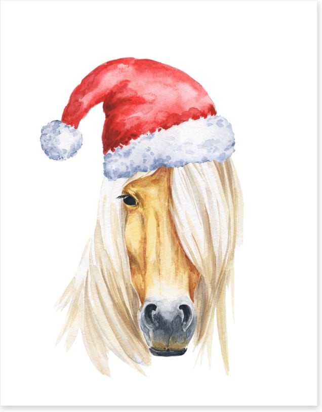 Filly christmas