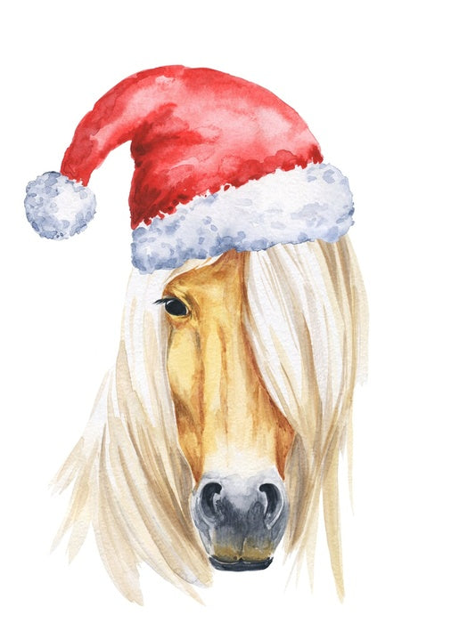 Filly christmas
