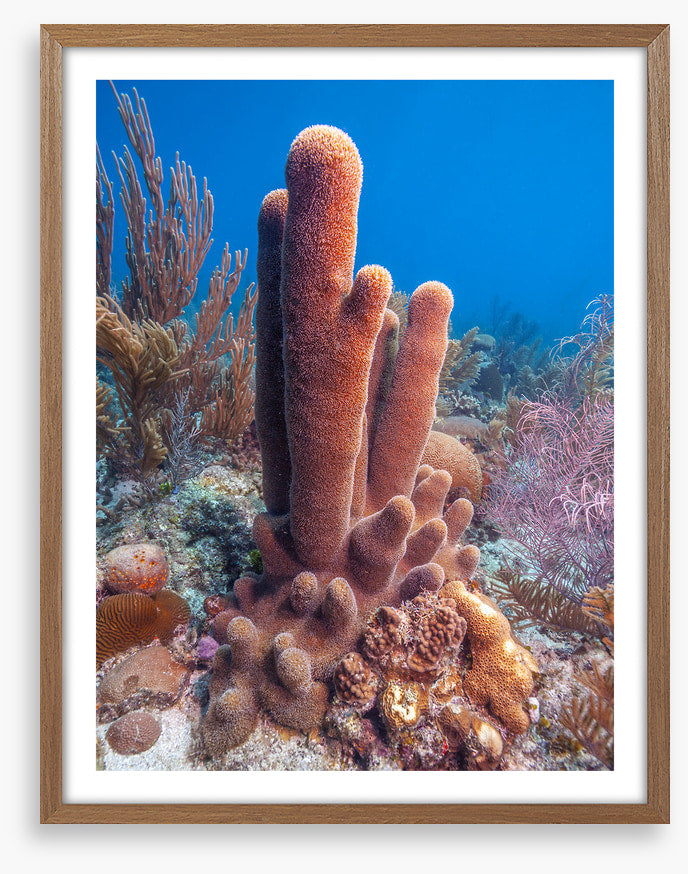 Underwater