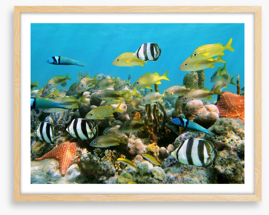 Underwater