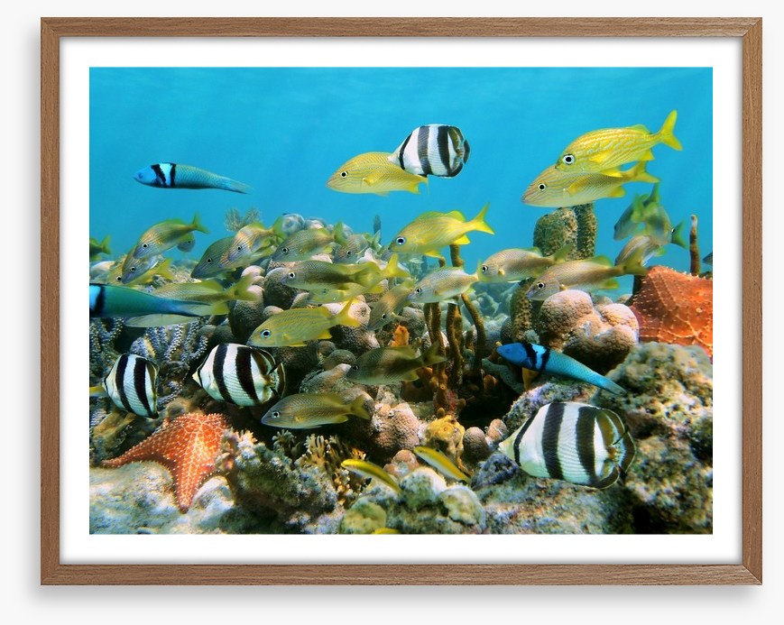 Underwater