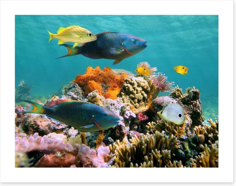 Underwater