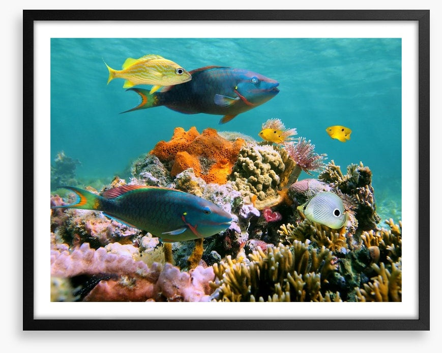 Underwater