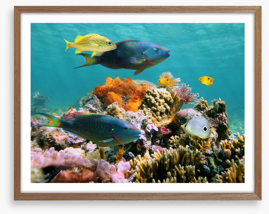 Underwater