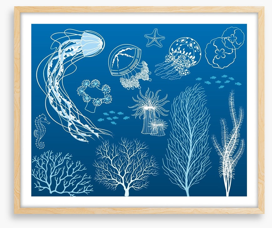 Dance of the jellyfish
