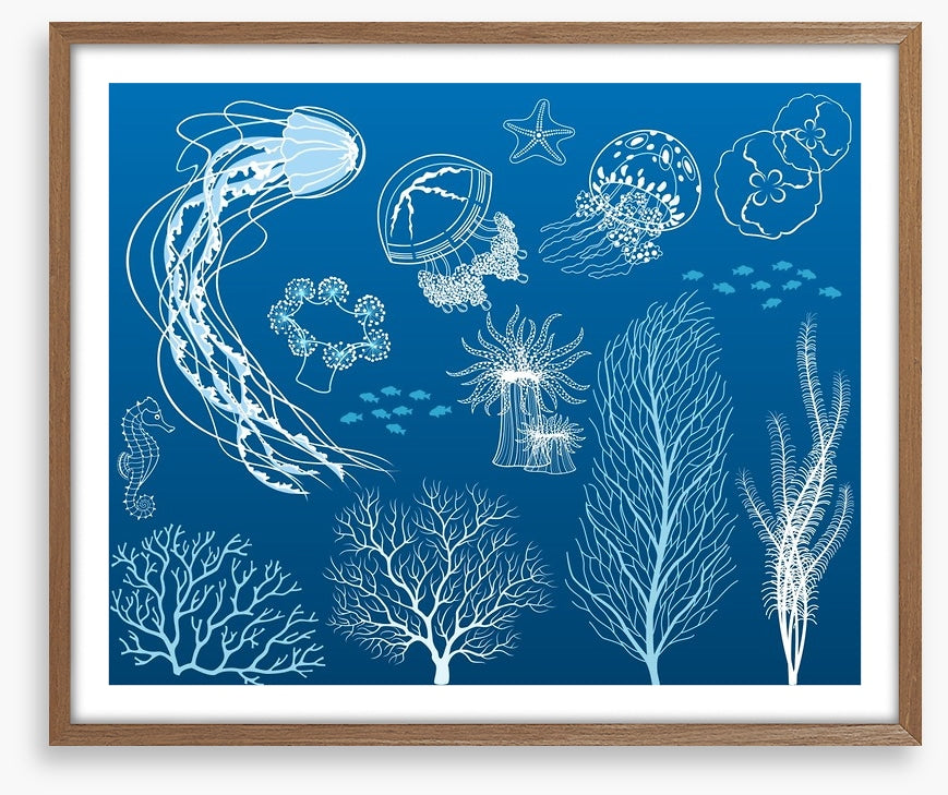 Dance of the jellyfish