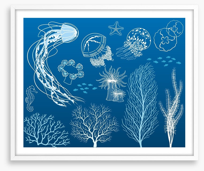Dance of the jellyfish