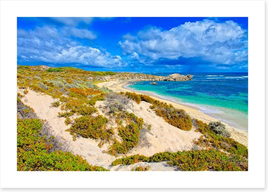 Rottnest island blues