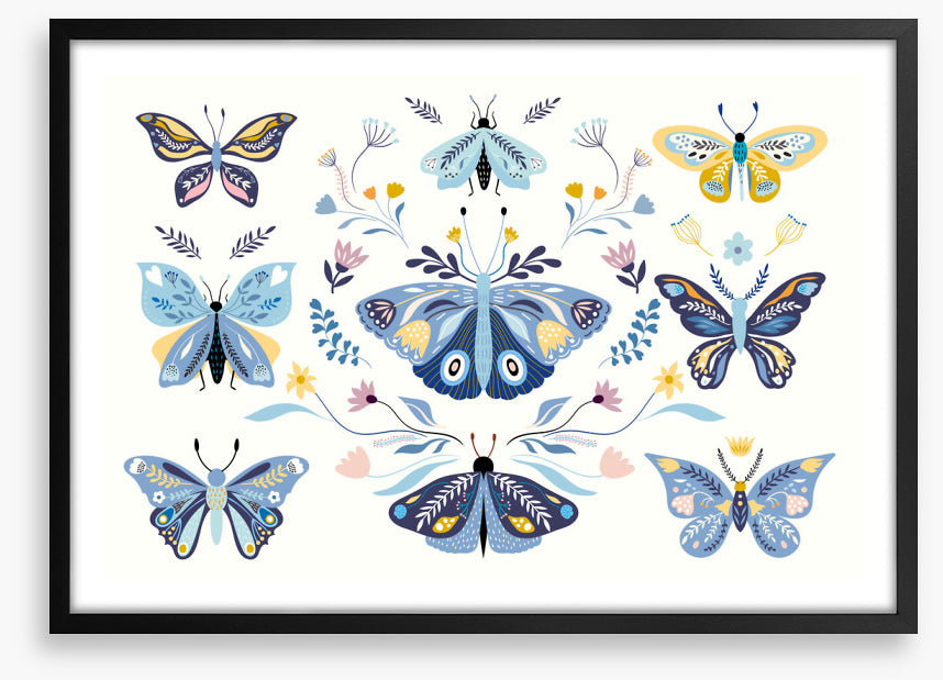 Butterfly blooms