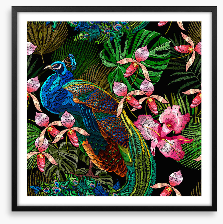 Peacock in the orchids