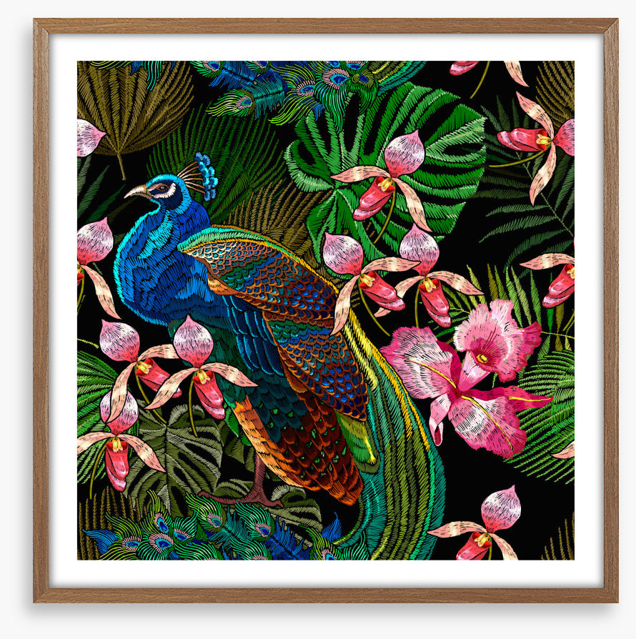 Peacock in the orchids