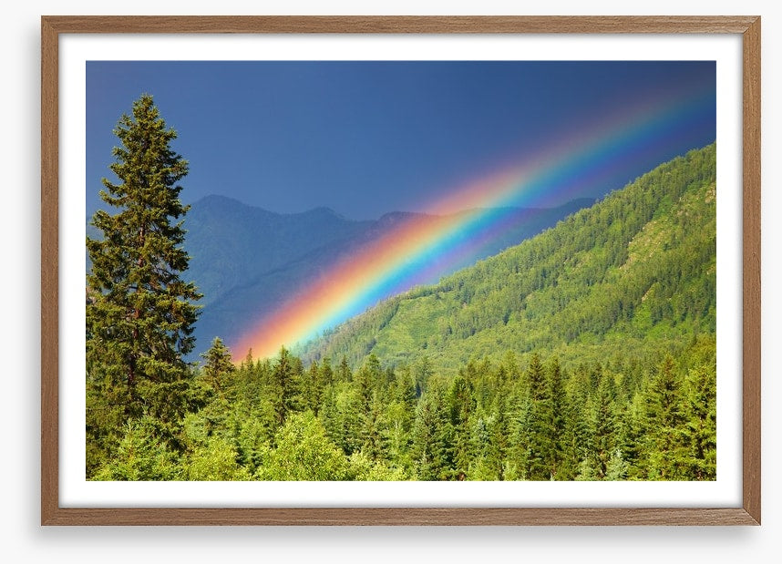 Rainbows