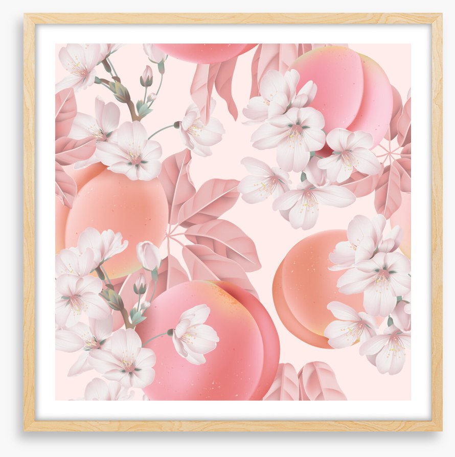 Peachy blossom