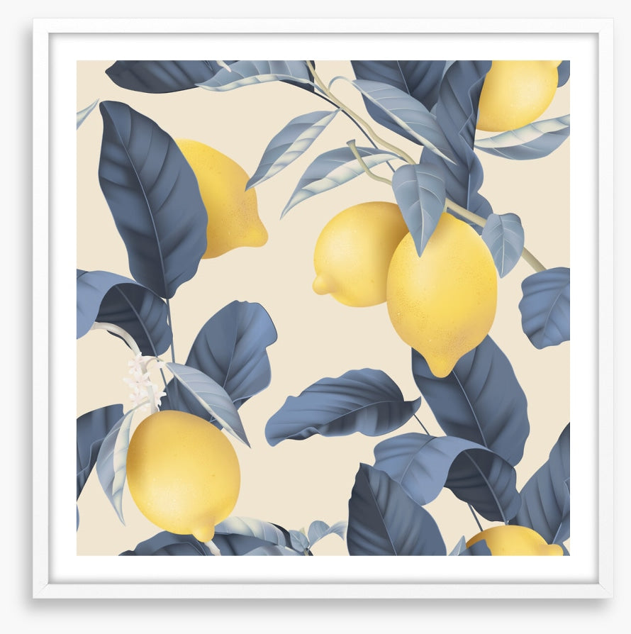 Lemony leaves
