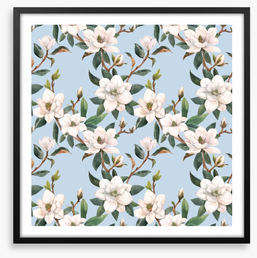 Blue sky magnolia