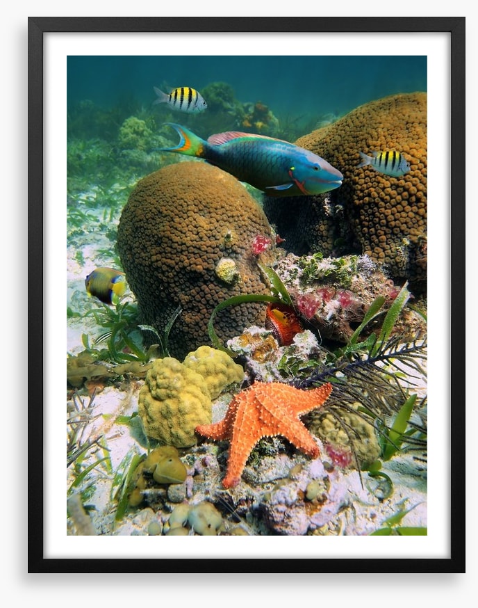 Underwater