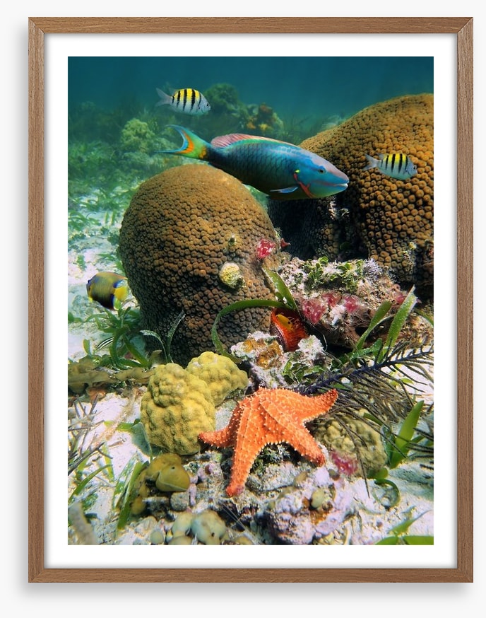 Underwater