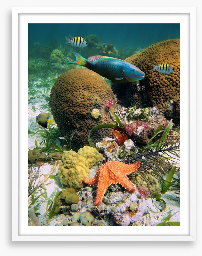 Underwater