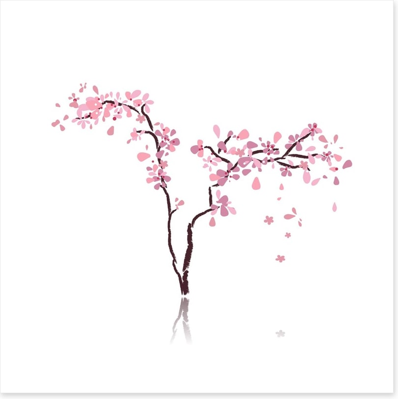 Sakura silhouette