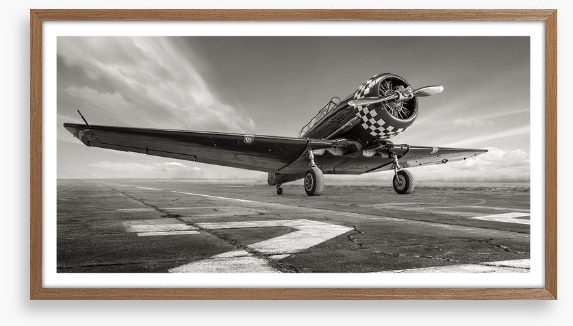 Warbird wings