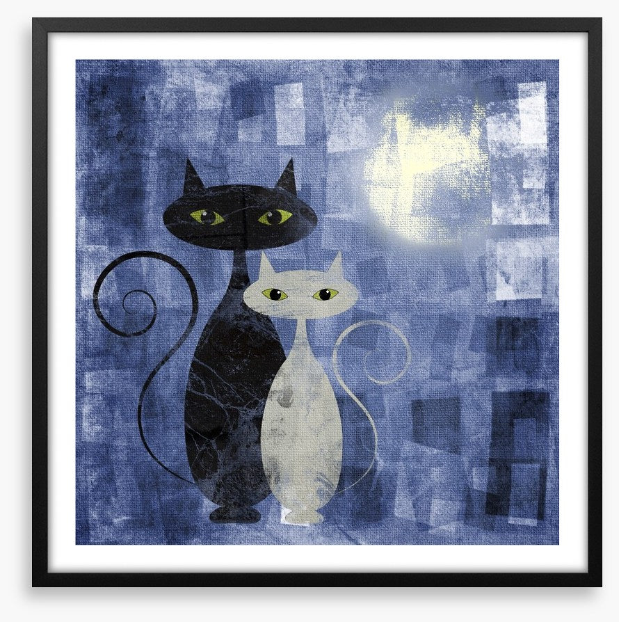 The moonlight cats