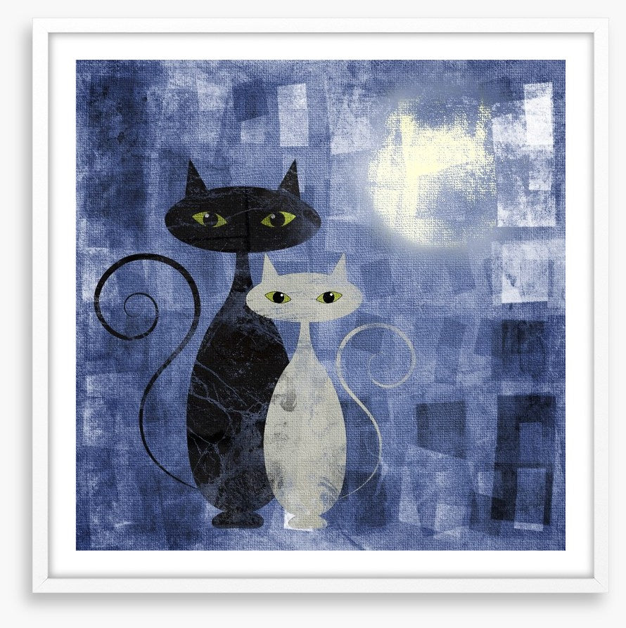 The moonlight cats