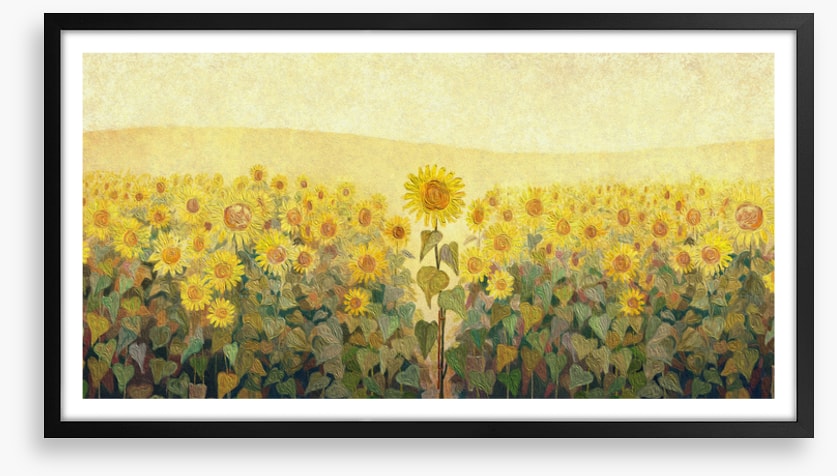 The special sunflower