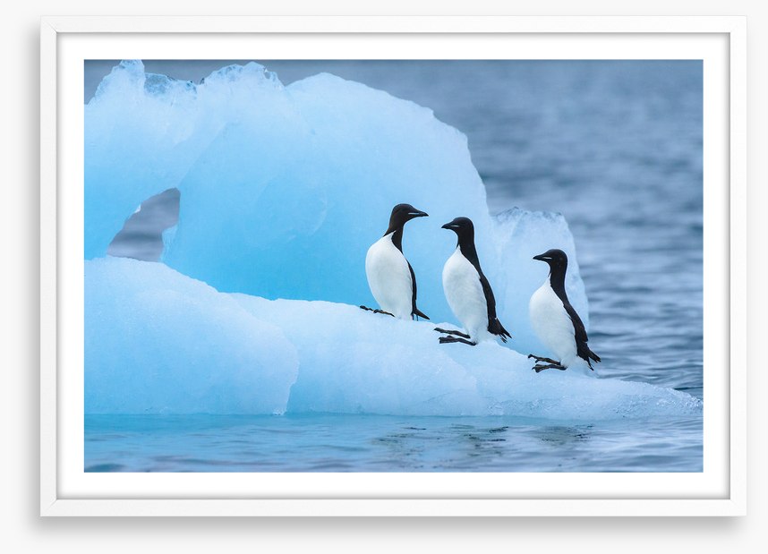 Glaciers