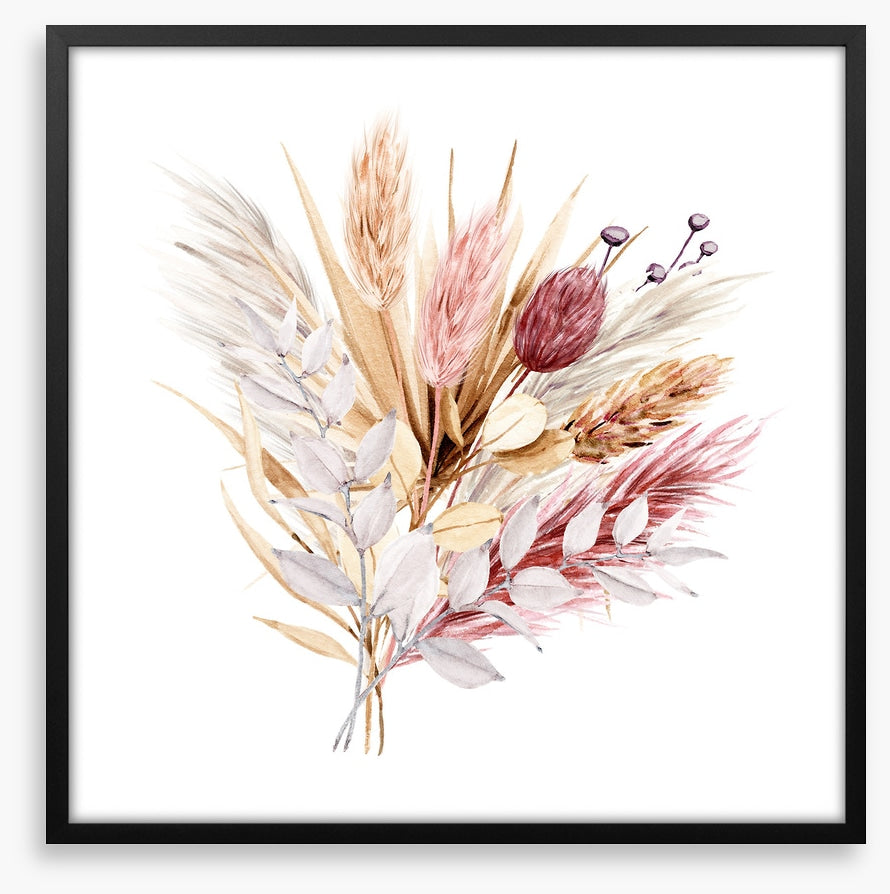 Pampas grass blush