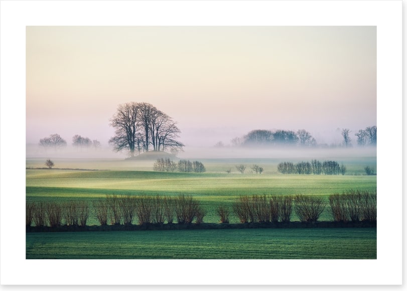 Rolling mist