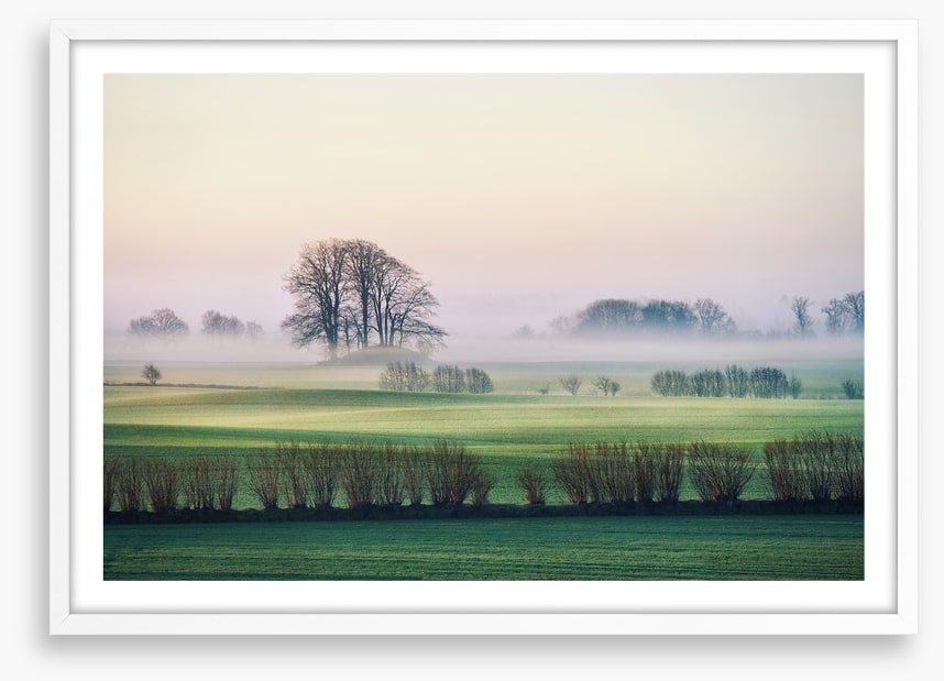 Rolling mist
