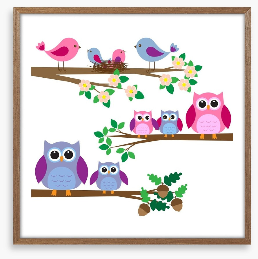 Owls and birds