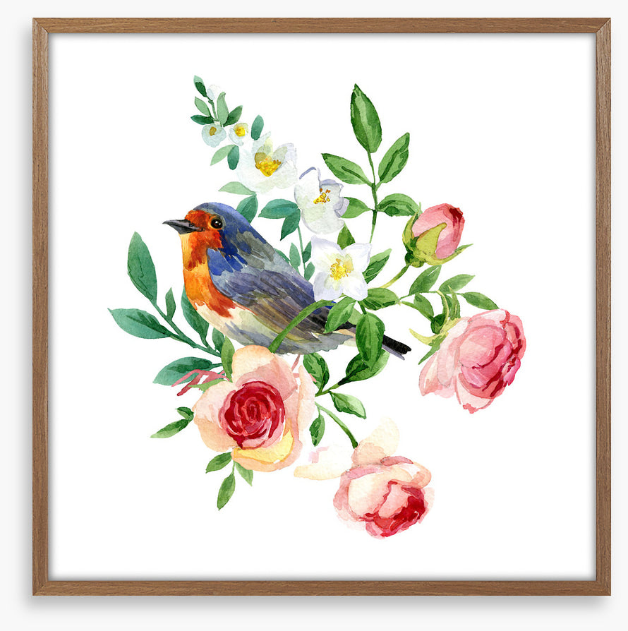 Birds