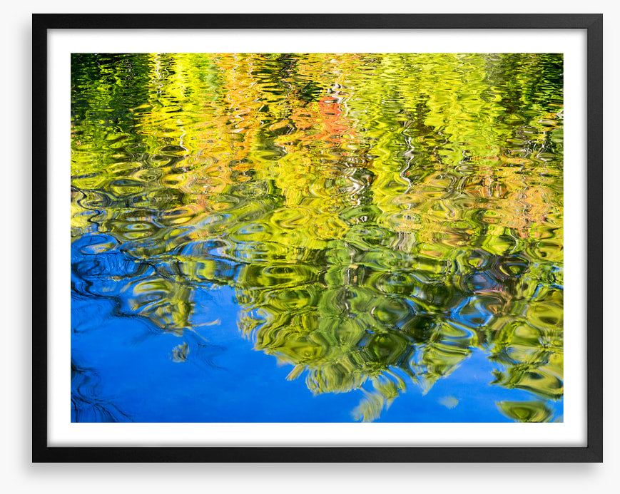 Reflections of fall