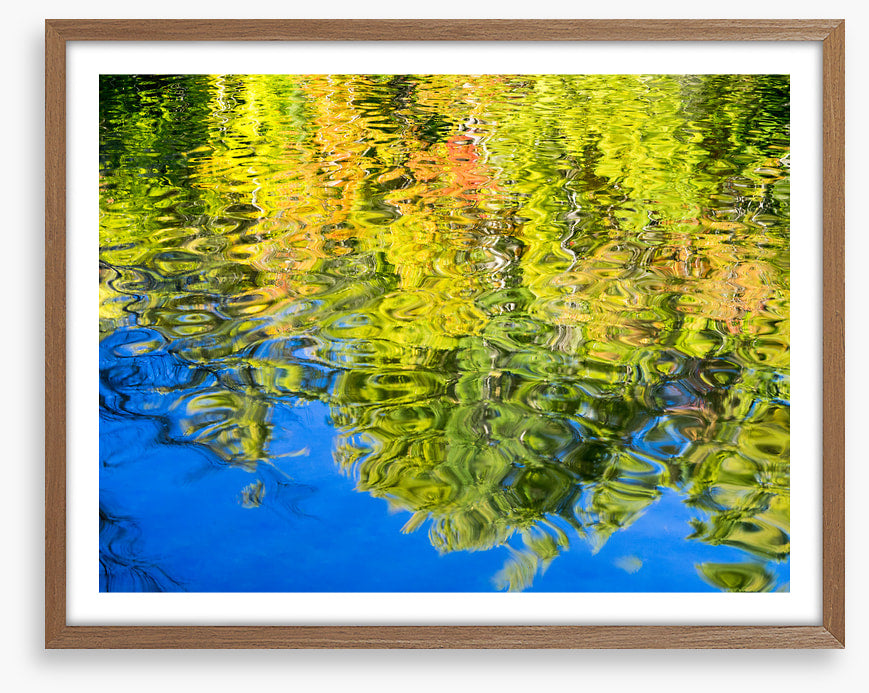 Reflections of fall