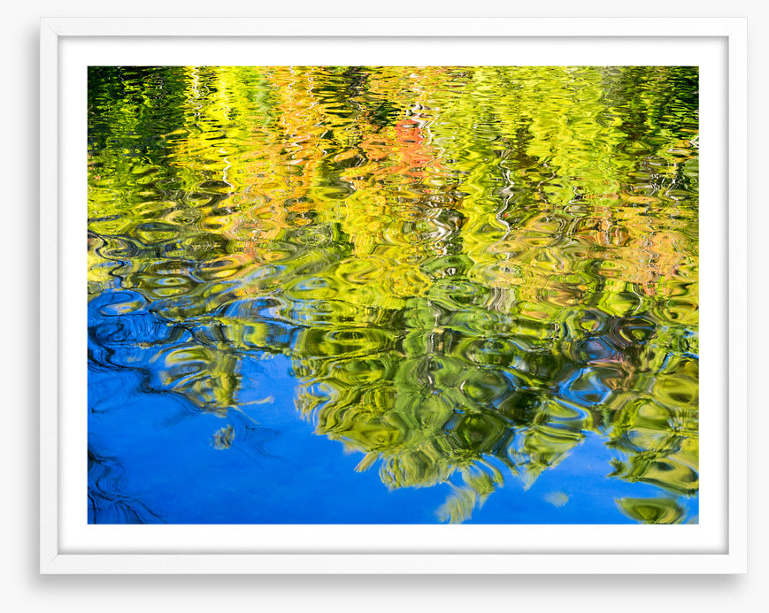 Reflections of fall