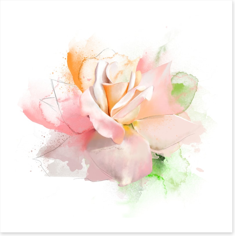 Feeling rosy I