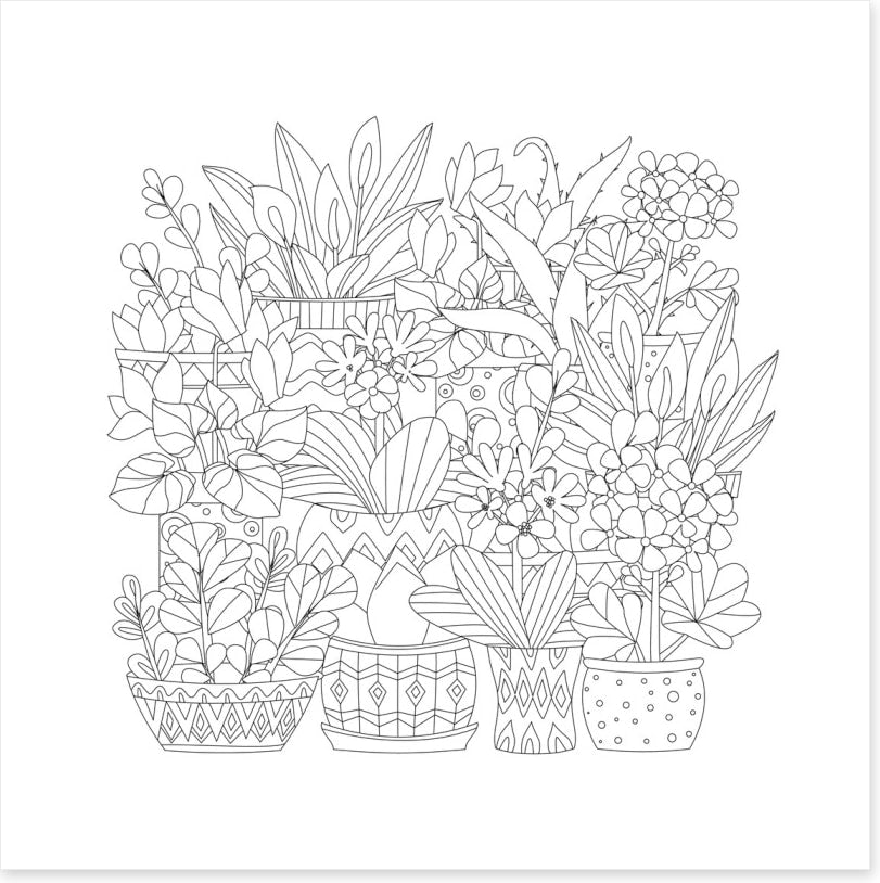 Colour me plant pots