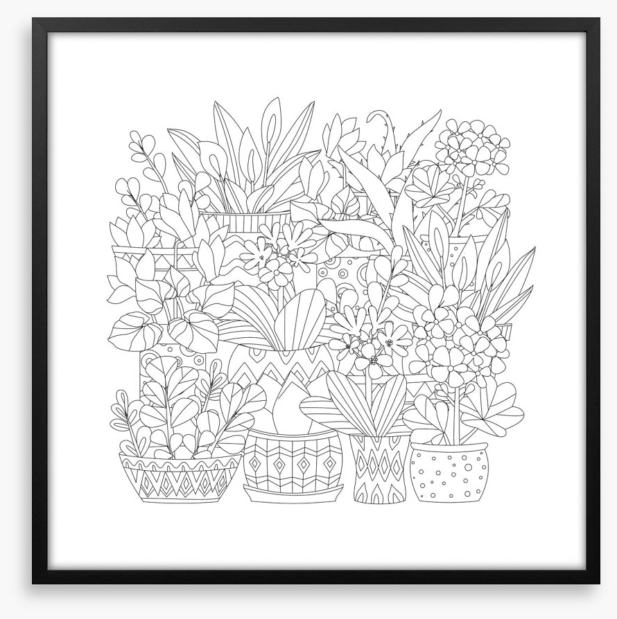 Colour me plant pots