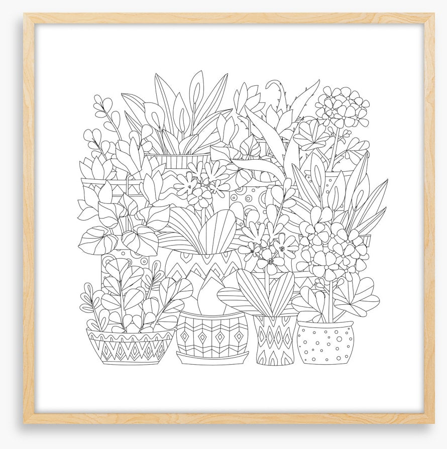 Colour me plant pots