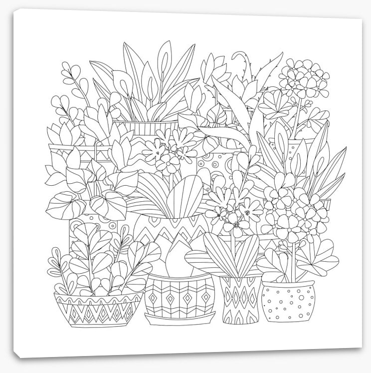 Colour me plant pots