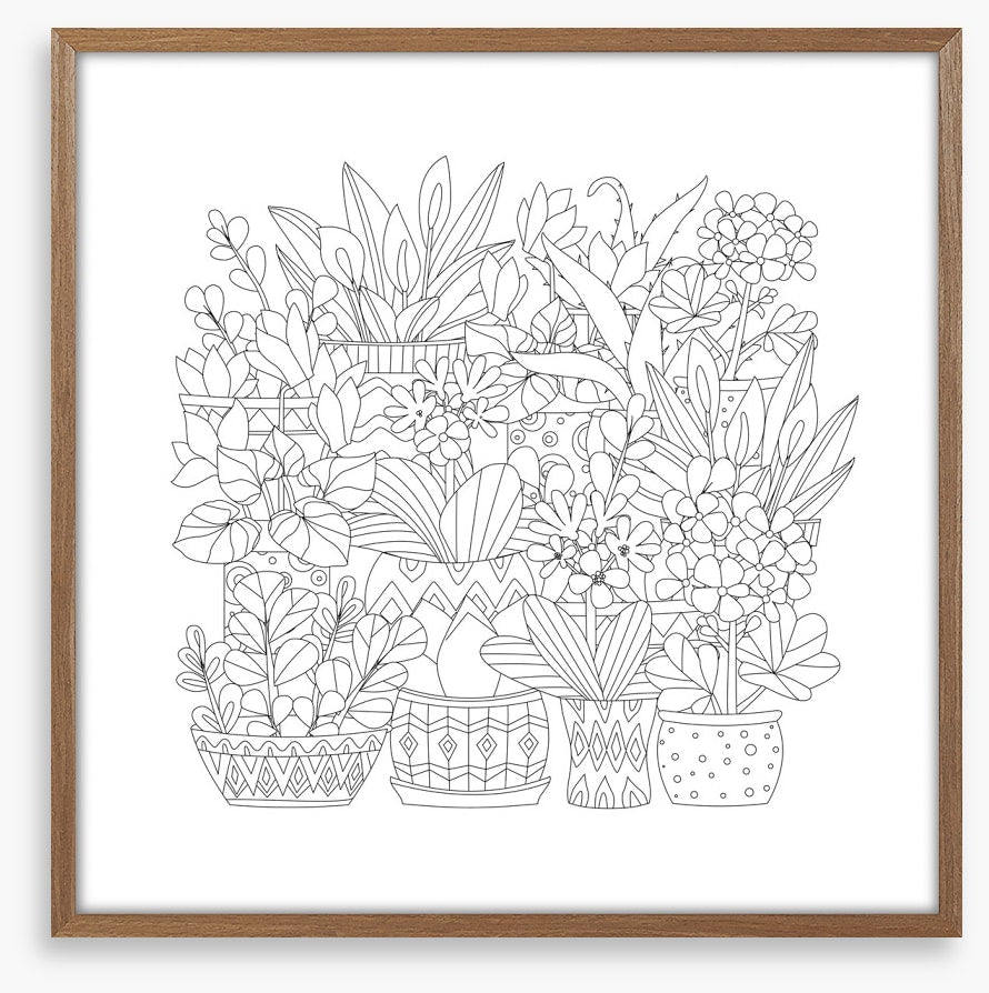 Colour me plant pots