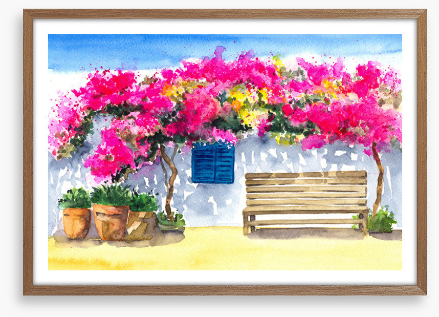 The bougainvillea bench
