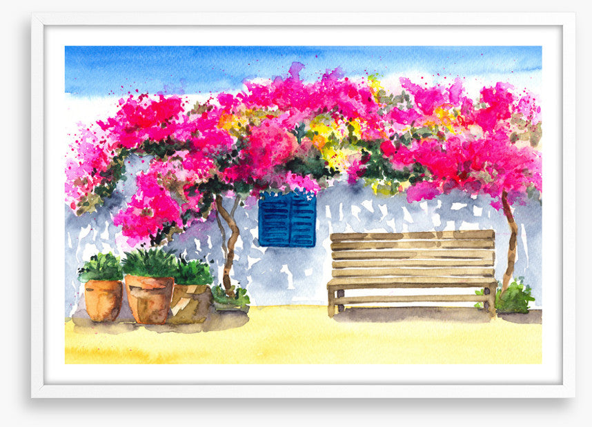 The bougainvillea bench